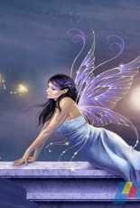HAED HAERA901 Twilight Shimmer by Rachel Anderson