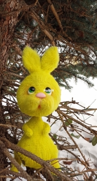 Bunny