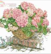 Thea Gouverneur TG 2047 Pink Hydrangea XSD