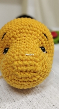 head