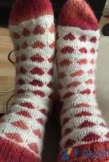 I love socks by Inez Andries