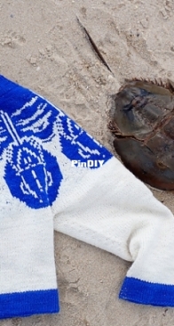 The Lucky Horseshoe (Crab) by LeafhopperKnits