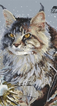 Murrena - Cat Lynx by Svetlana Kaimak