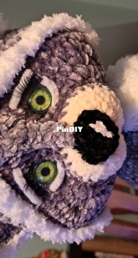 Raccoon (described by Lyubov Lagutenok)