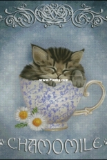 HAED - HAEAEUSMINI 2453 Mini Chamomile Tea by Ash Evans