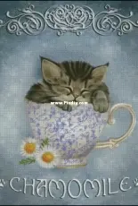 HAED - HAEAEUSMINI 2453 Mini Chamomile Tea by Ash Evans