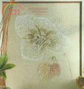 Portraits de Fleurs