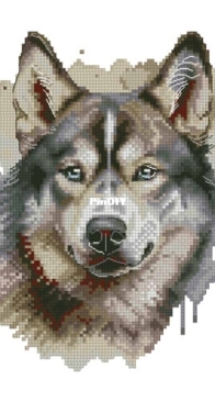 BananiStitchery - Husky - Anna Banani XSD