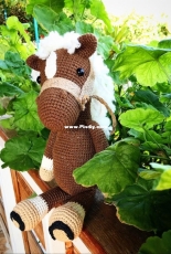 Kristel Droog Horse