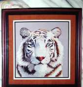 Cross My Heart CSB-148 Animal Profiles - White Tiger
