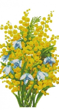 Mimosa