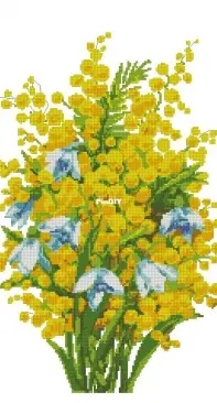 Mimosa