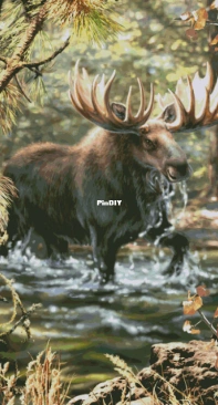 HAED HAEDJG 9821 Moose Crossing by Dona Gelsinger