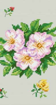 Agenda Mango 2019 - Jardins Fleuris - Rose Astronomia - V. Enginger