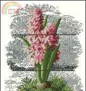 Royal Paris 9880.6433.0006 Hyacinth