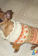 Fair Isle Dog Sweater by Kiki Geiger -English-Free