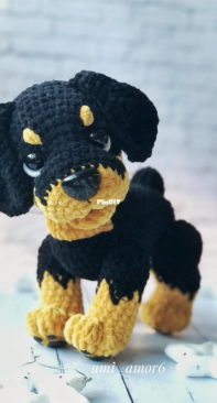 Ami amor6 - Olga Tseplyaeva - Rottweiler