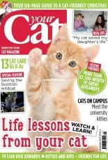 Your Cat December 2017