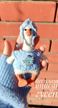 Julia knitting 11 - Julia / Yuliya Suyargulova (Gavrilova) - Goose. Russian