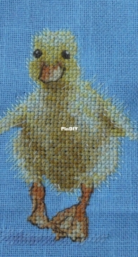 Stitching Coven - The Twinkle Toes