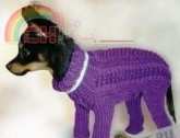 Unknown Designer - Knitted overalls for a dog - Russian - Free
