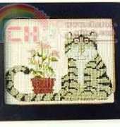 Cedar Hill - Shaker / Cat