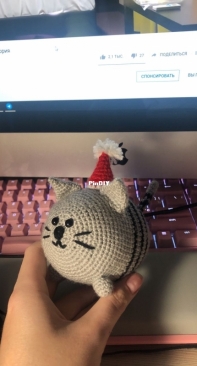 Fat cat in a New Years cap