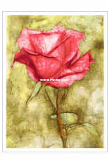 Better Cross Stitch - Fantasy Rose - Free