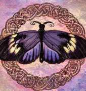 HAED HAEARQS 1410 QS Celtic Butterfly Two by Amanda Robison