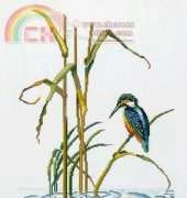 Eva Rosenstand 12-552 - Kingfisher