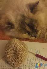 She loves to crochet too!