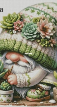Chimera - Gnome and Succulents XSD