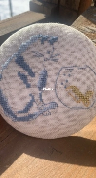 Cat and golden fish