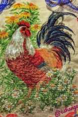 Riolis 1479 - Cock