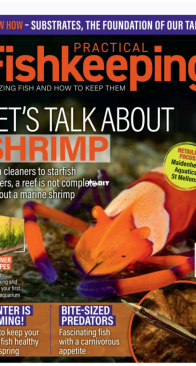Practical Fishkeeping – October 2025