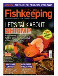 Practical Fishkeeping – October 2025