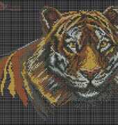 charivna Mit 192 tiger