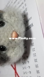 my hamster