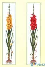 Thea Gouverneur The Secret Garden 018 Gladioli Panel