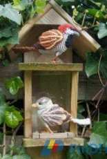 MieksCreaties - Crochet Pattern House Sparrow incl nest pattern with little Sparrows