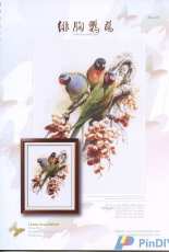 I Love CrossStitch ZXL-017 - Psittacula Alexandri