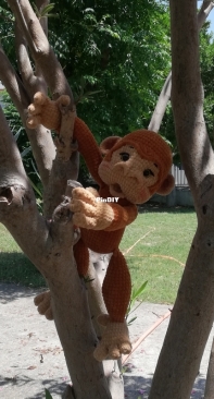 Beatifull monkey