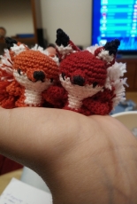 little foxes :)