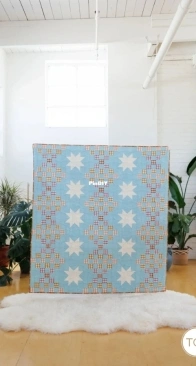Then Came June - Meghan Buchanan - Orchard Stars Quilt