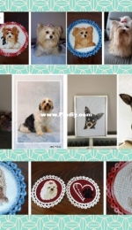 portraits dogs