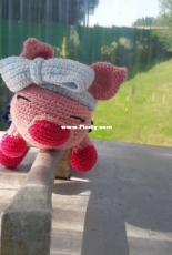 pig
