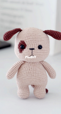 Beary Bearnita - Phạm Hiền Hạnh - Dog