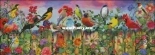 HAED HAEAIS 49291 Birds Blooms Garden by Aimee Stewart