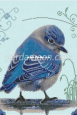 Gerdamoon B027 Bluebird XSD