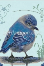 Gerdamoon B027 Bluebird XSD